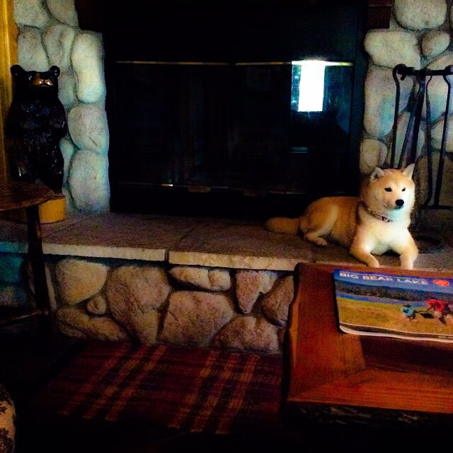 速度与天赋的对决，广东队如F1弯道封锁，杜兰特式超车接管新赛季揭幕战